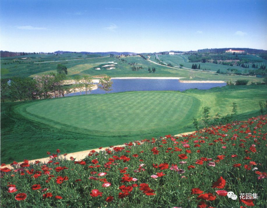 苏州人造草坪运动场养护服务,公园草坪怎么养护效果最好