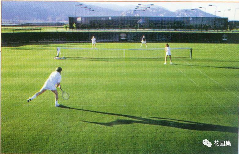 苏州人造草坪运动场养护服务,公园草坪怎么养护效果最好