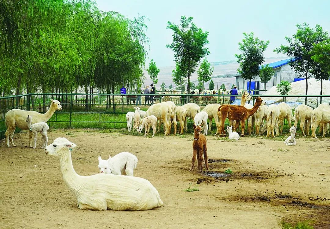 「时代新人」邓昕:做个自己都不敢想象的自己