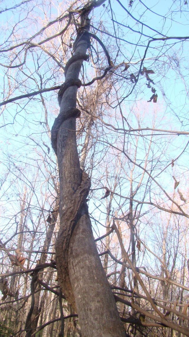 汪清直播外景,汪清户外直播