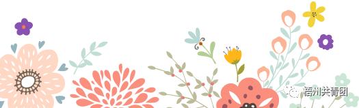 宝石节晚会,粤桂宝石节