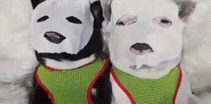 日本进口国民面膜补水保湿,日本国民美女面膜