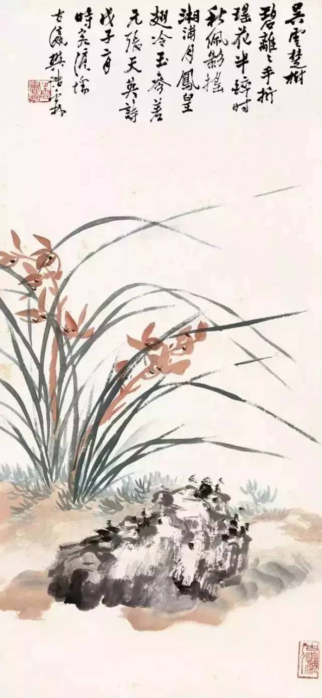 兰花之美朗诵,兰花之美诗句