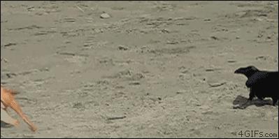 笑一笑，心情好；笑一笑，烦恼消；看完后朋友们开口大笑吧