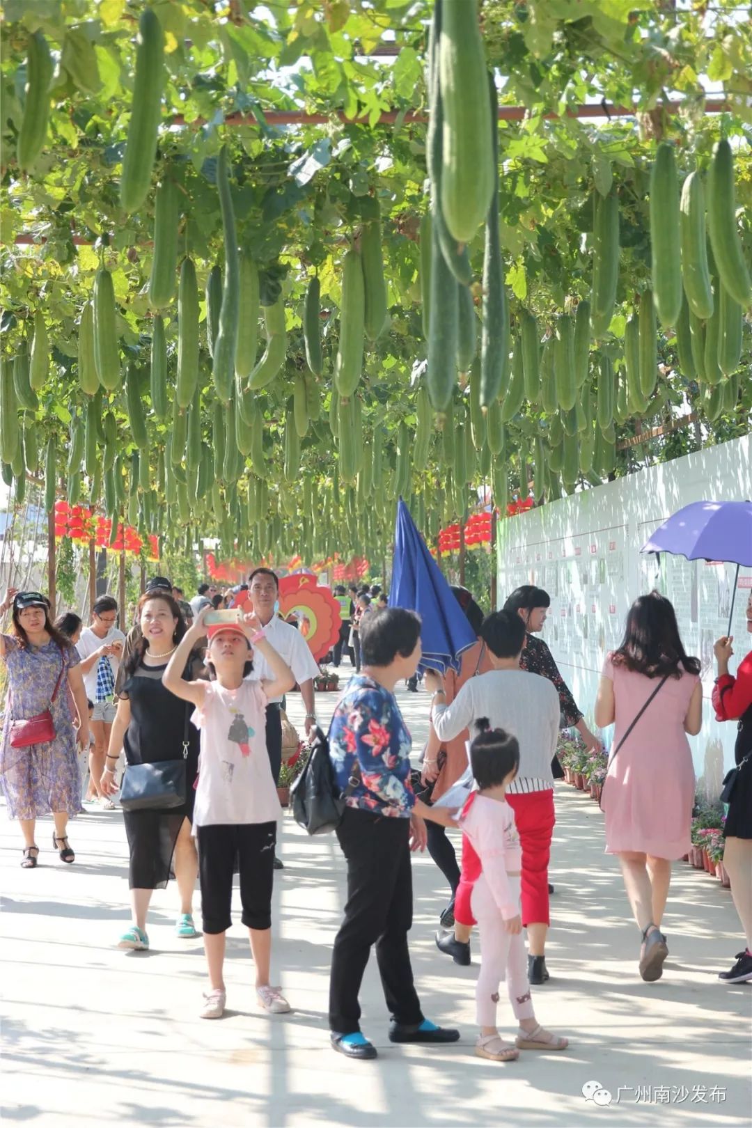 Letsgo！东涌农业生态旅游推广节最后一天~美食花海表演等着你