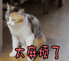 沈阳移动手机号码使用5年,沈阳移动手机号码使用五年