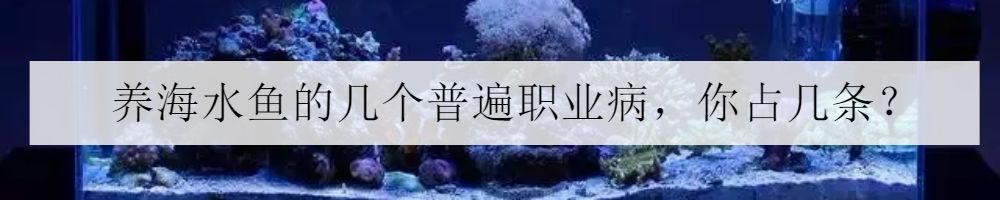被海葵蜇了排毒要多久,戴着手套会被海葵蜇到吗
