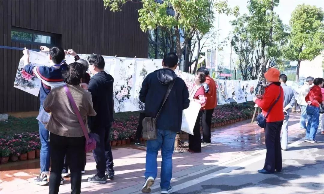 体育中心看展菊,在体育中心玩乐的一天