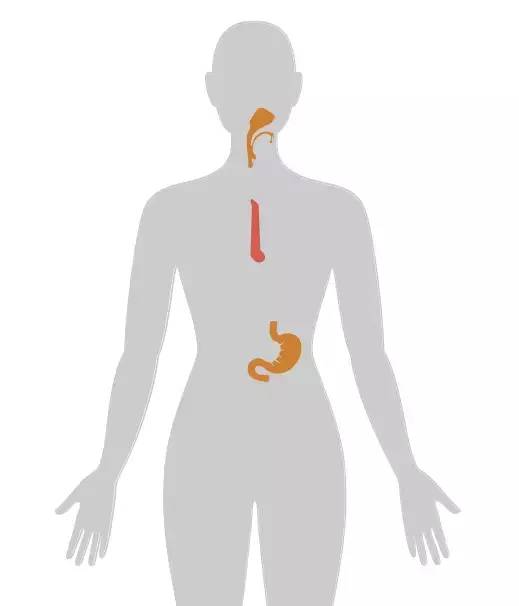 20个癌症的真实案例,13种癌症最新研究报告