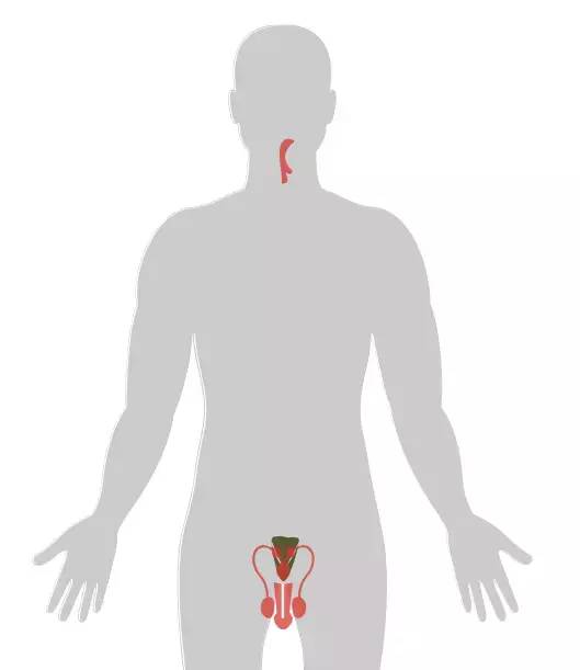 20个癌症的真实案例,13种癌症最新研究报告