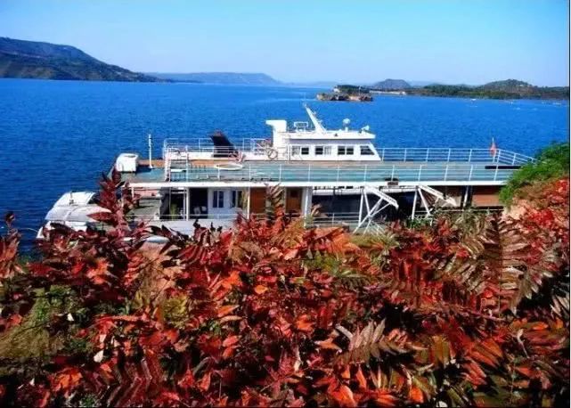 河南秋天红叶最美的地方有哪些,河南秋天最美红叶景区