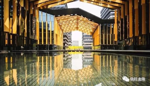 进博会的新产品都有什么,进博会上的吸睛好货