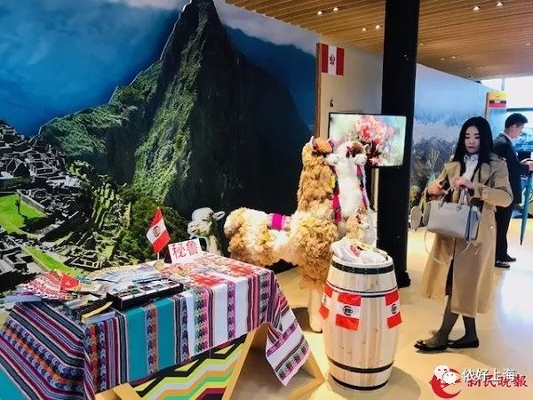 进博会的新产品都有什么,进博会上的吸睛好货