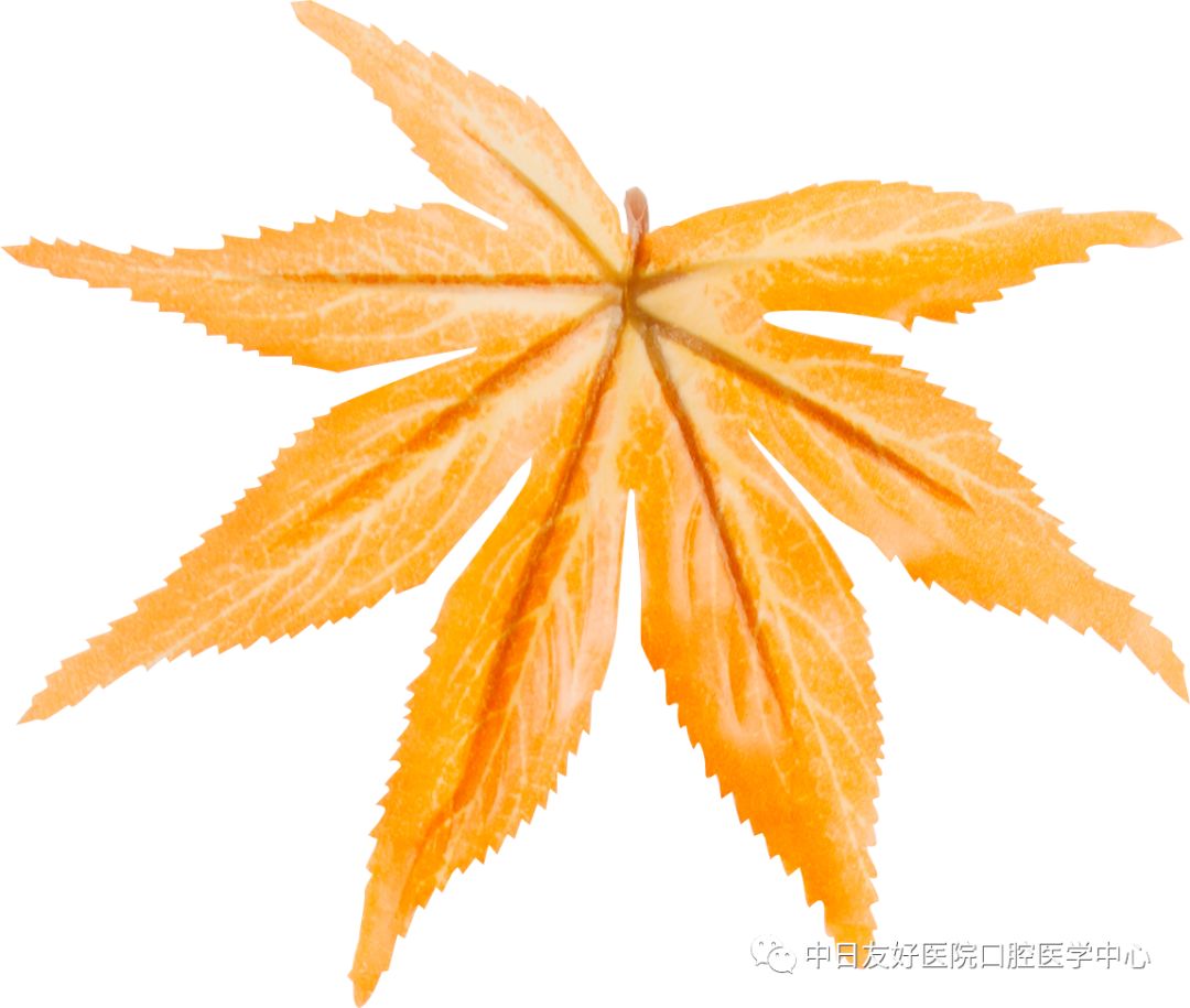 自己给自己补牙现实吗,自己补牙用的颗粒对身体好吗