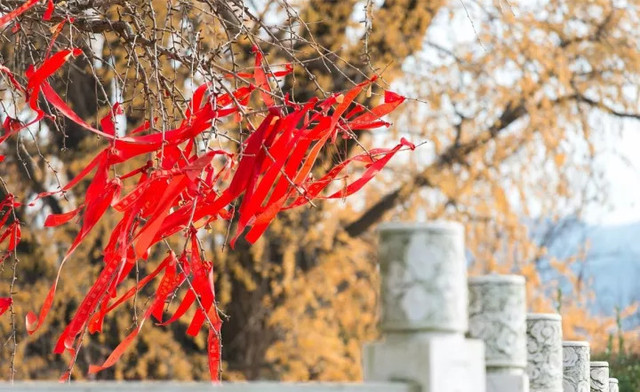 南京最美赏秋地点,南京赏秋之旅