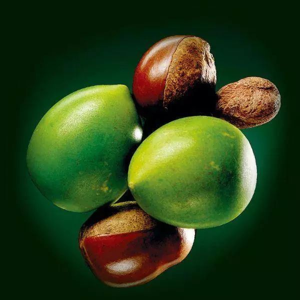 香水身体乳推荐哪款,好用的香水身体乳推荐