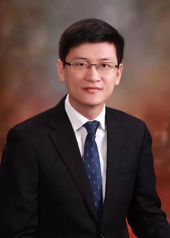 pubmed文献可视化分析,pubmed文献内容介绍