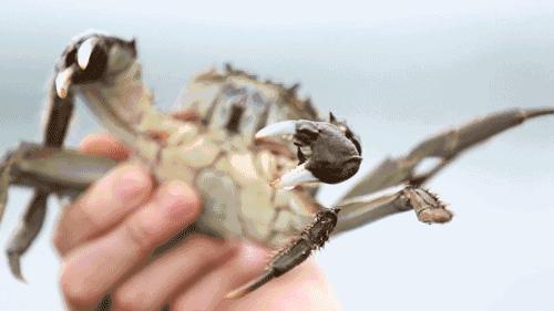 这四类人到手的工资将会上涨,好消息这几类人工资要涨了