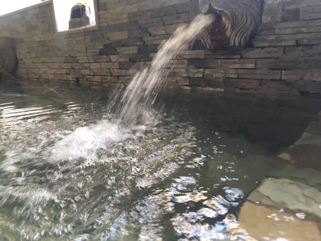 泰山温泉城有什么,泰山温泉城真实事件