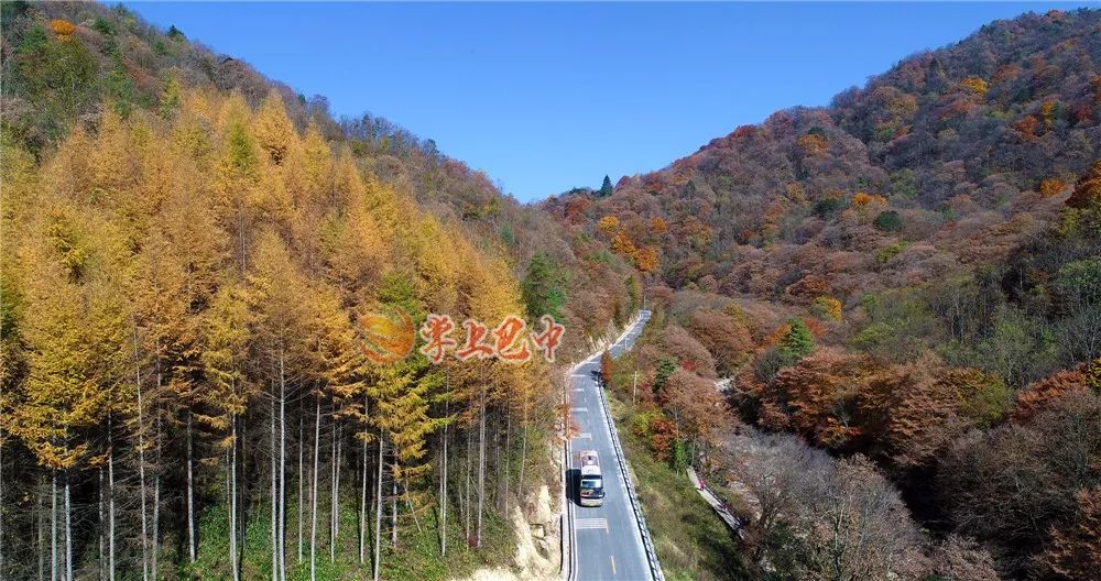 错过了红叶最佳观赏时间,光雾山红叶最佳观赏地方是哪里