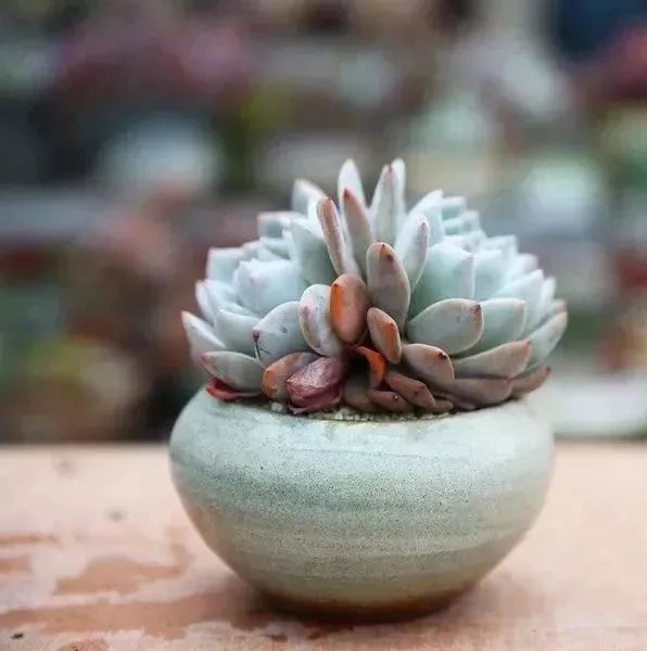 4-6岁儿童游玩攻略,我们四岁啦原唱完整版