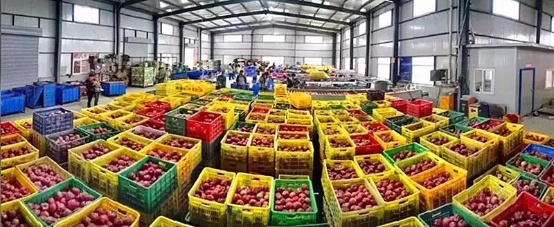 县级电商的发展思路,礼县电商发展前景