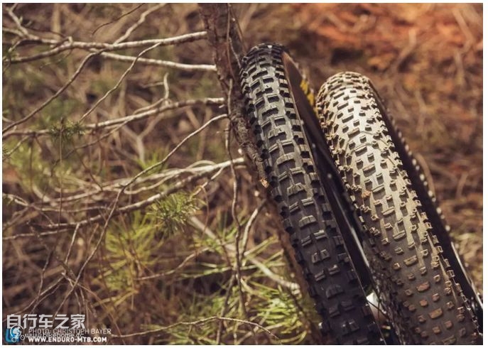 大神，2019山地车技术发展朝哪走？