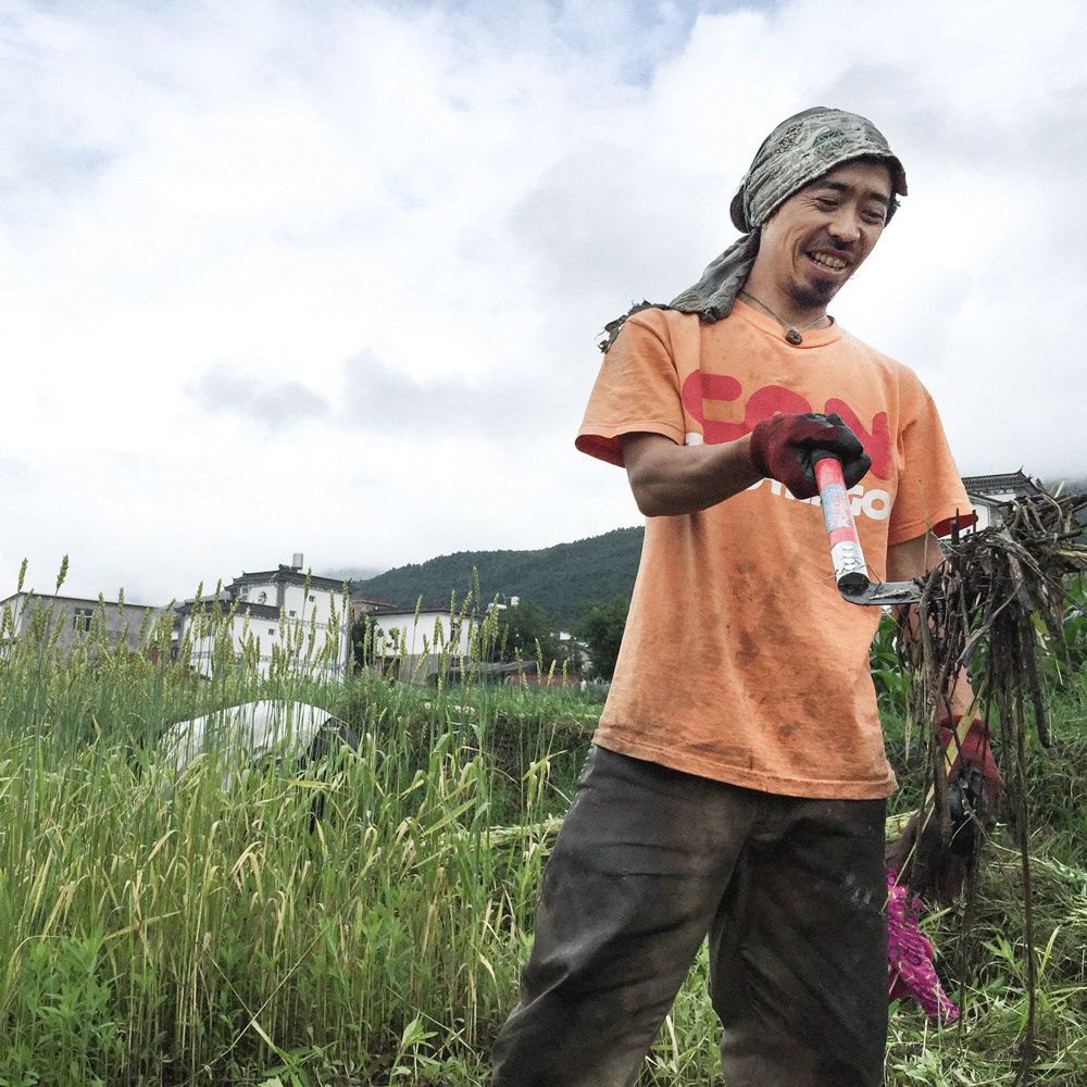 这个年轻人不上班不买房，在大理种地7年，生活过成了这样……