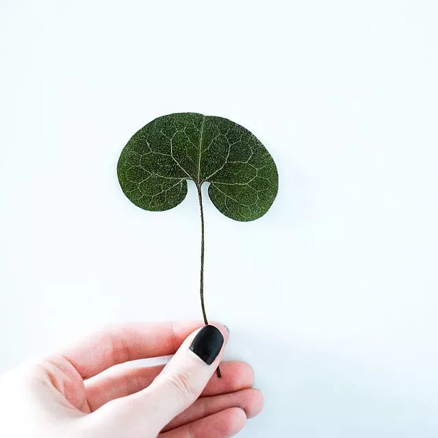 15种高情商的表现,高情商的七个迹象