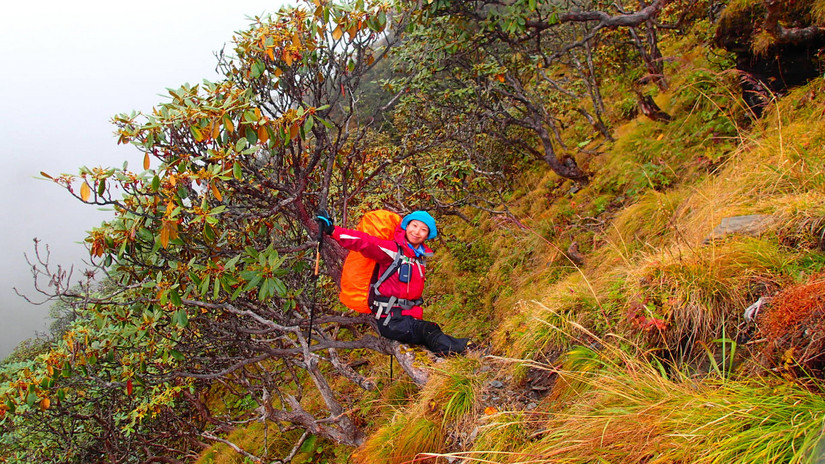 留下的是辉煌带走的是荒凉,带走的是经历留下的是回忆