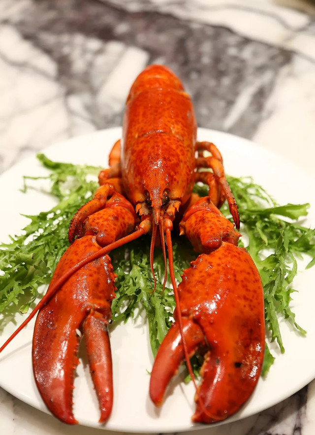 郑州好吃的海鲜自助餐厅推荐,让你一次吃个够的海鲜自助餐厅