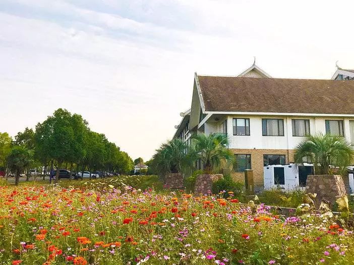 松江区比较好的酒店,上海松江高档温泉酒店