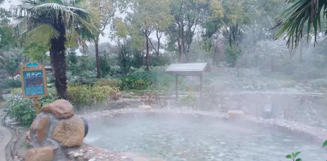 松江区比较好的酒店,上海松江高档温泉酒店