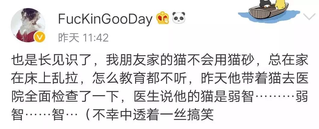 说猫咪是傻子的视频,当人类说猫咪傻