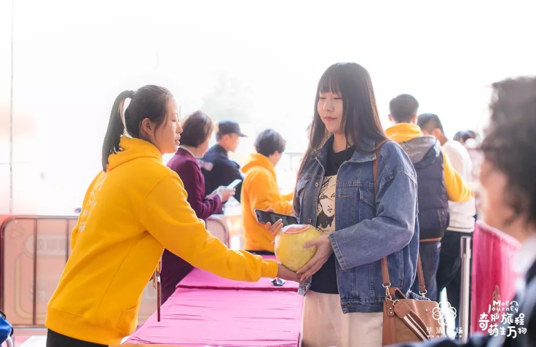 李家村最新规划消息,李家村的变迁