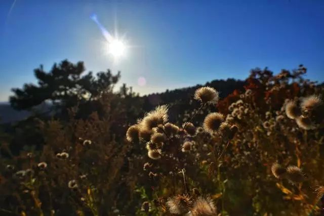 延安黄陵：醉美金秋仙遇黄陵