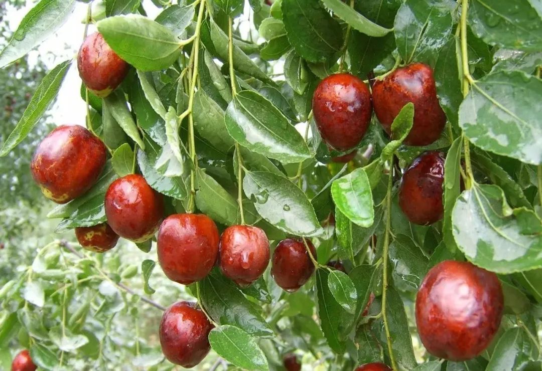 宁阳景区推荐,宁阳八大景区都有哪些