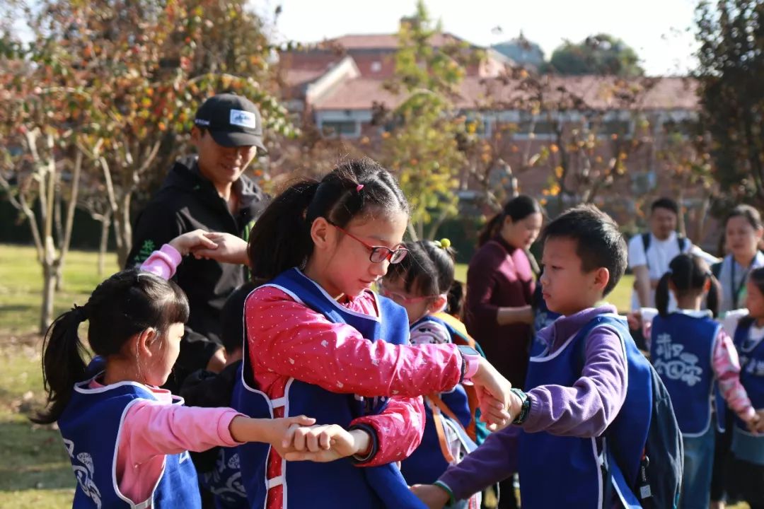 树叶拓印留住秋天,关于秋天的树叶拓印