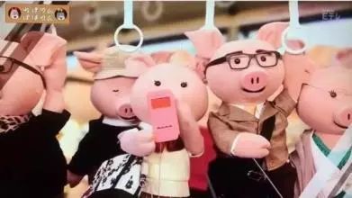 双11福利蛋仔,双11上哪里领福利