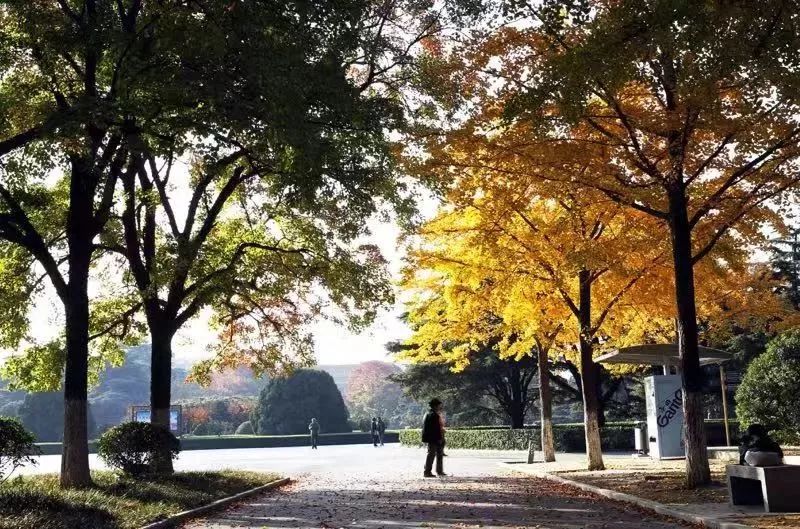 徐州秋景哪个地方最好看,徐州周边赏秋景的地方