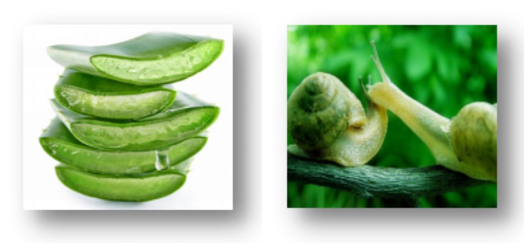 气垫推荐混干皮公认好用第一名,气垫推荐公认好用第一名黑黄皮