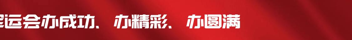 武汉军运会主场馆,武汉军运会位置在哪