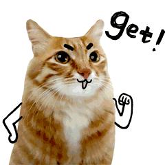 妇科避孕方法,治疗妇科疾病的避孕方式