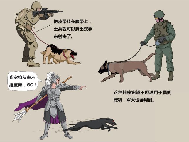 最忠实的军犬有哪些,哪些比较忠诚的军犬