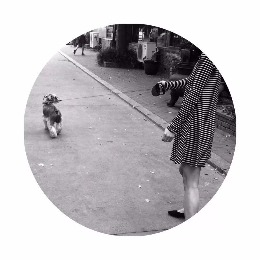 追了LOHAS11个编辑的战利品｜私藏好物清单