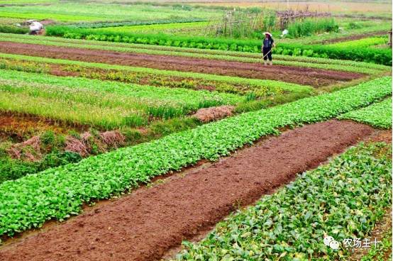 土地流转农民的机遇,农村土地流转困境