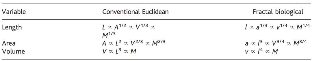 四维空间的物体真的存在吗,三维世界如何判断四维空间的存在
