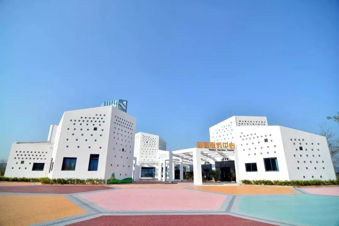 南宁哪里有摘火龙果的地方,南宁周边哪里有火龙果摘