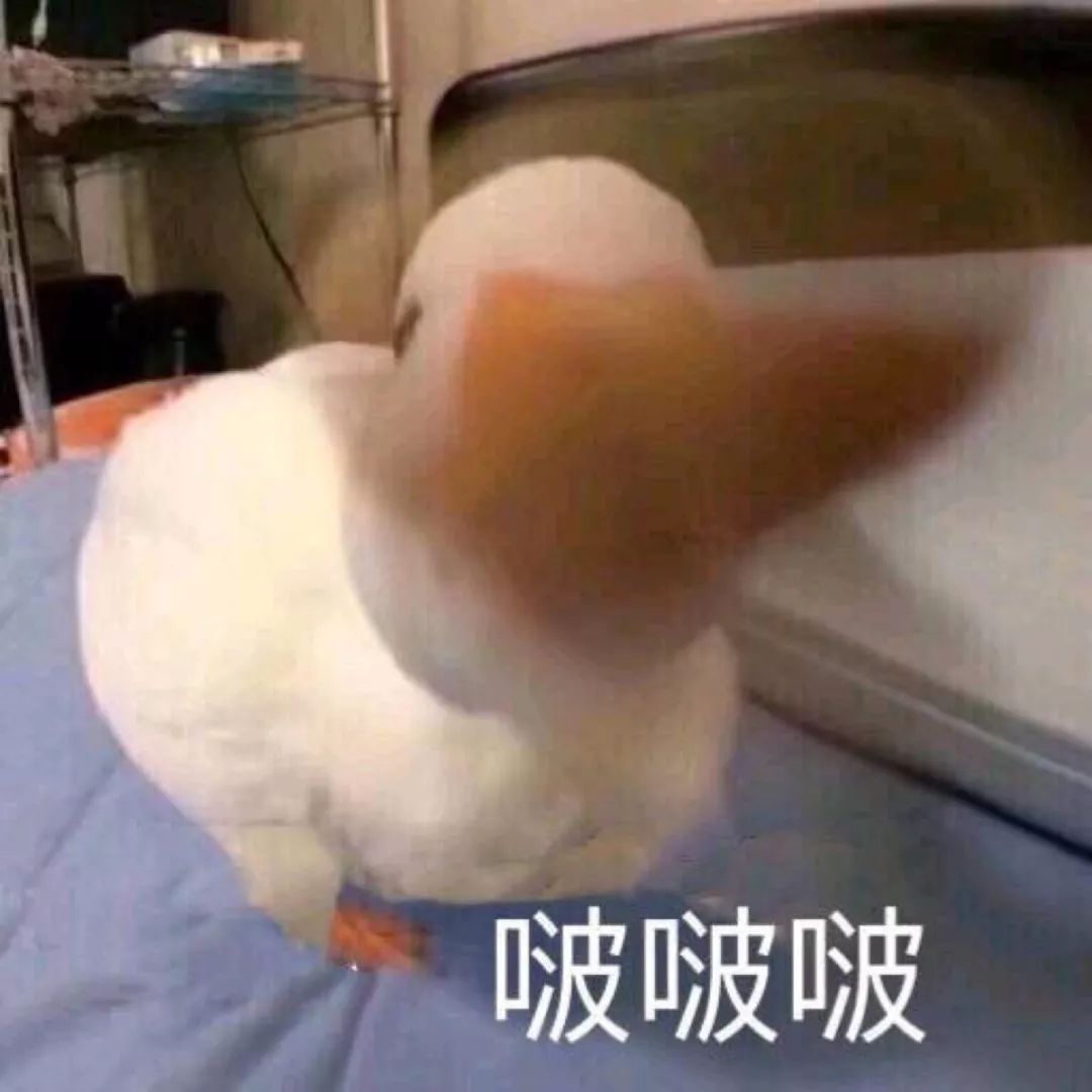 12星座要什么才会快乐,十二星座需要什么样的感情