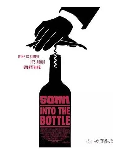 想了解葡萄酒看什么书,聊聊最基础的葡萄酒常识